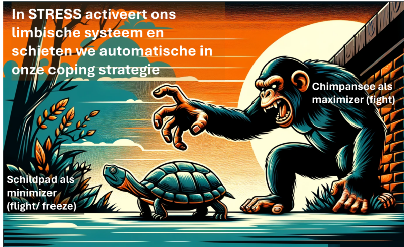 Coping strategie in relaties - patroon van chimpansee en schildpad